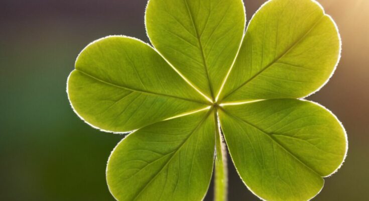 5 Blättriges Kleeblatt Bedeutung » Das Glückssymbol erklärt