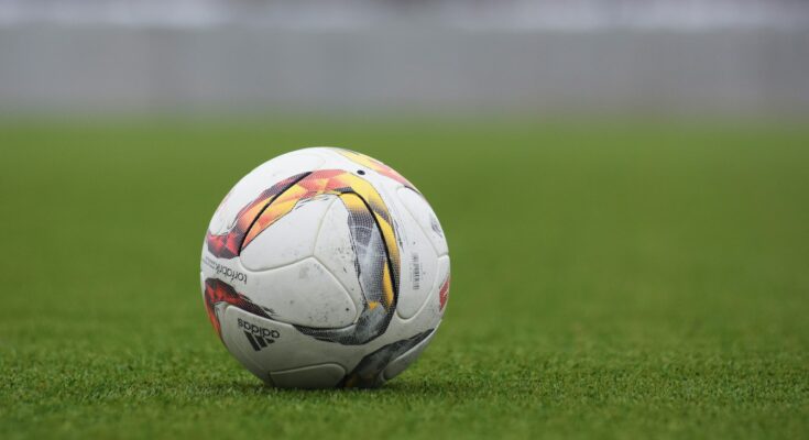white and gray Adidas soccerball on lawn grass