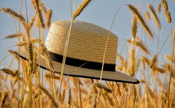 cap, straw hat, summer, grain, spike, summer hat, summer feeling, nature, cap, summer, summer, summer, summer, summer