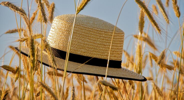 cap, straw hat, summer, grain, spike, summer hat, summer feeling, nature, cap, summer, summer, summer, summer, summer